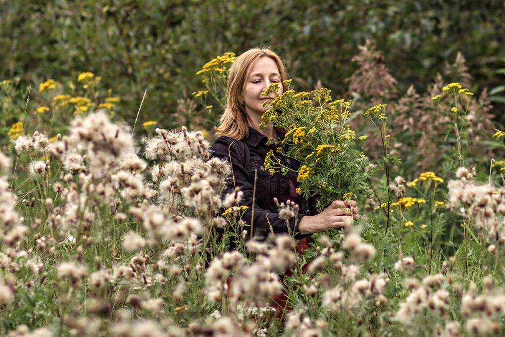 park biodiversitet