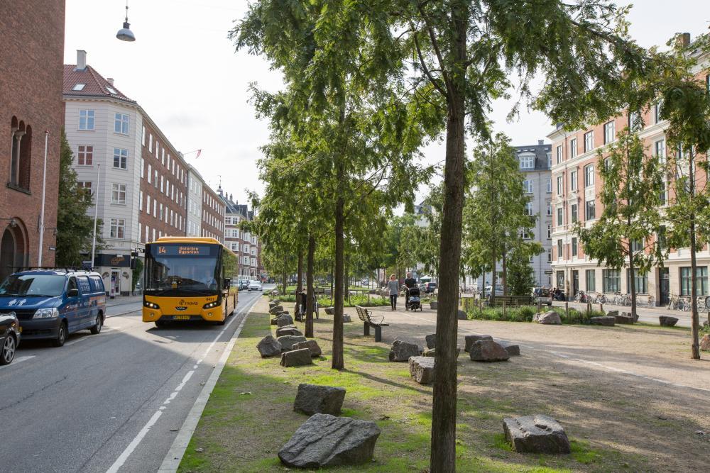 Træer Sønder Boulevard